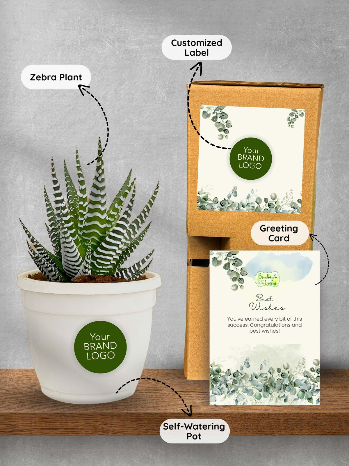 Zebra-Plant-Corporate (Pack of 50)