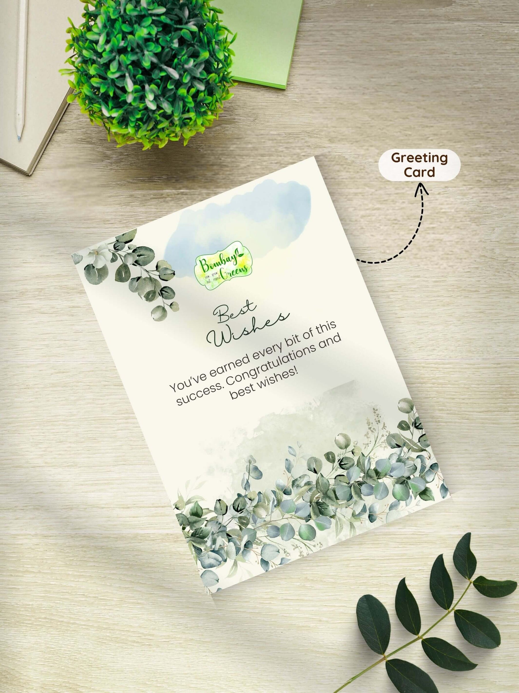 Zebra-Plant-Corporate (Pack of 50)