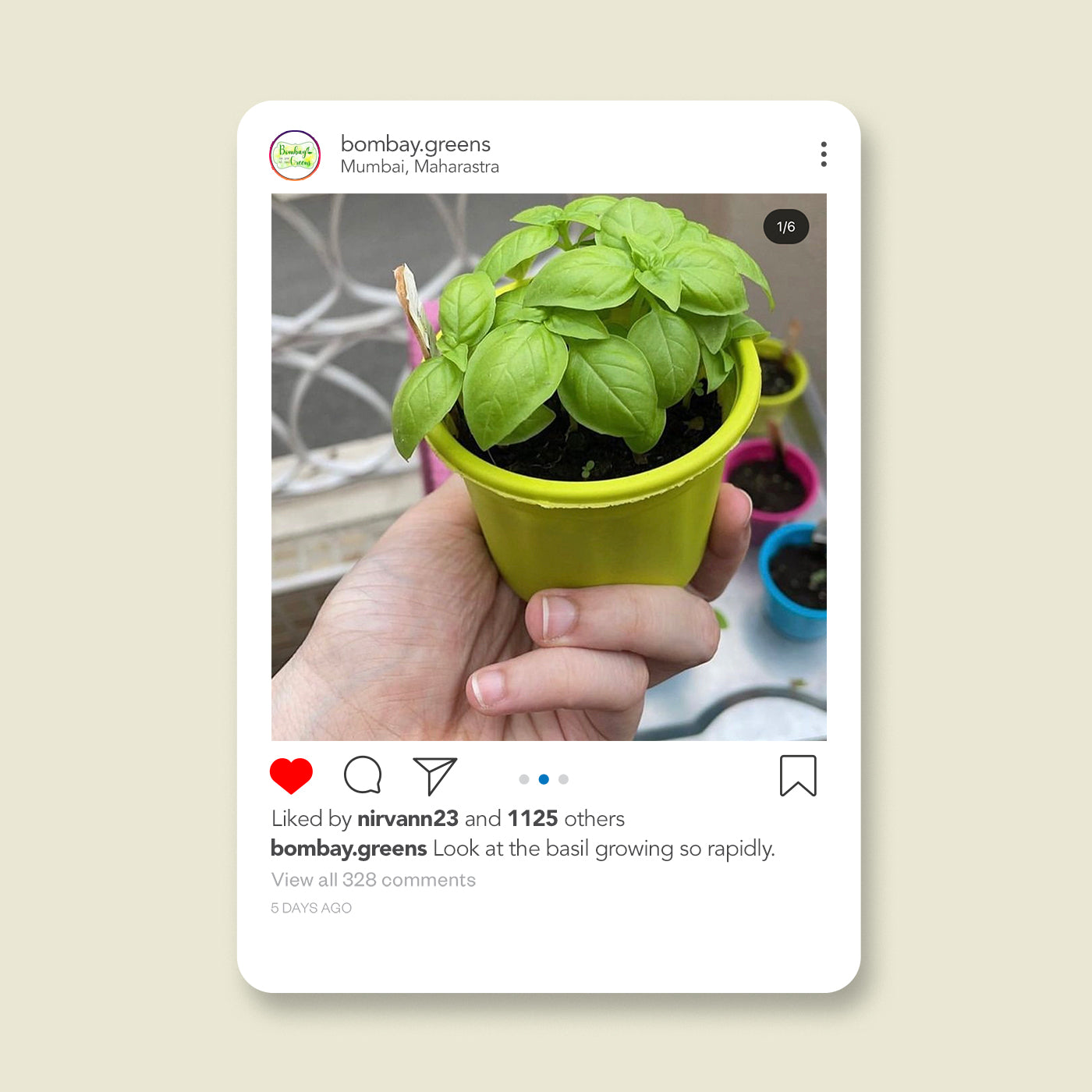 gardening kit,diy garden kit