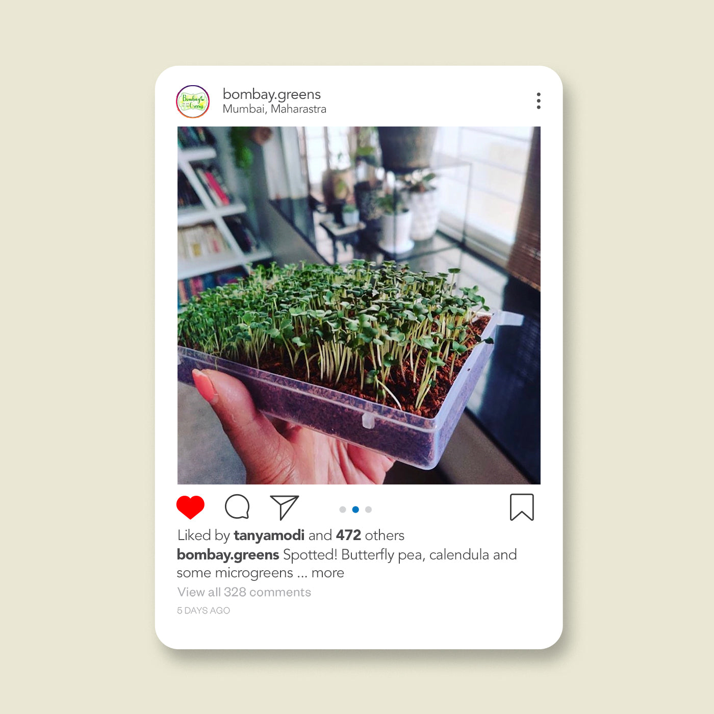 gardening kit,diy garden kit