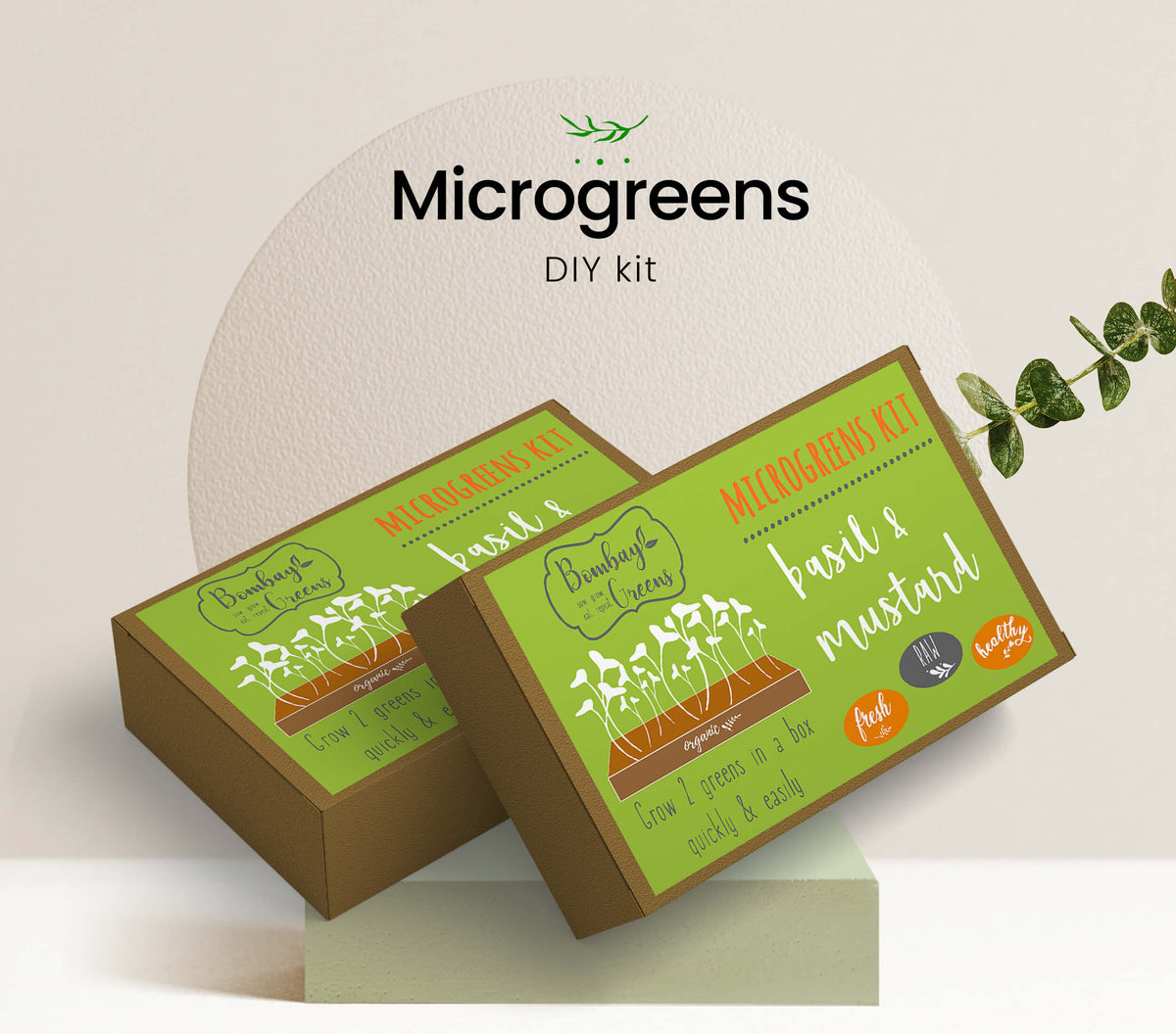 Microgreens growing Kit India,microgreens diy kit