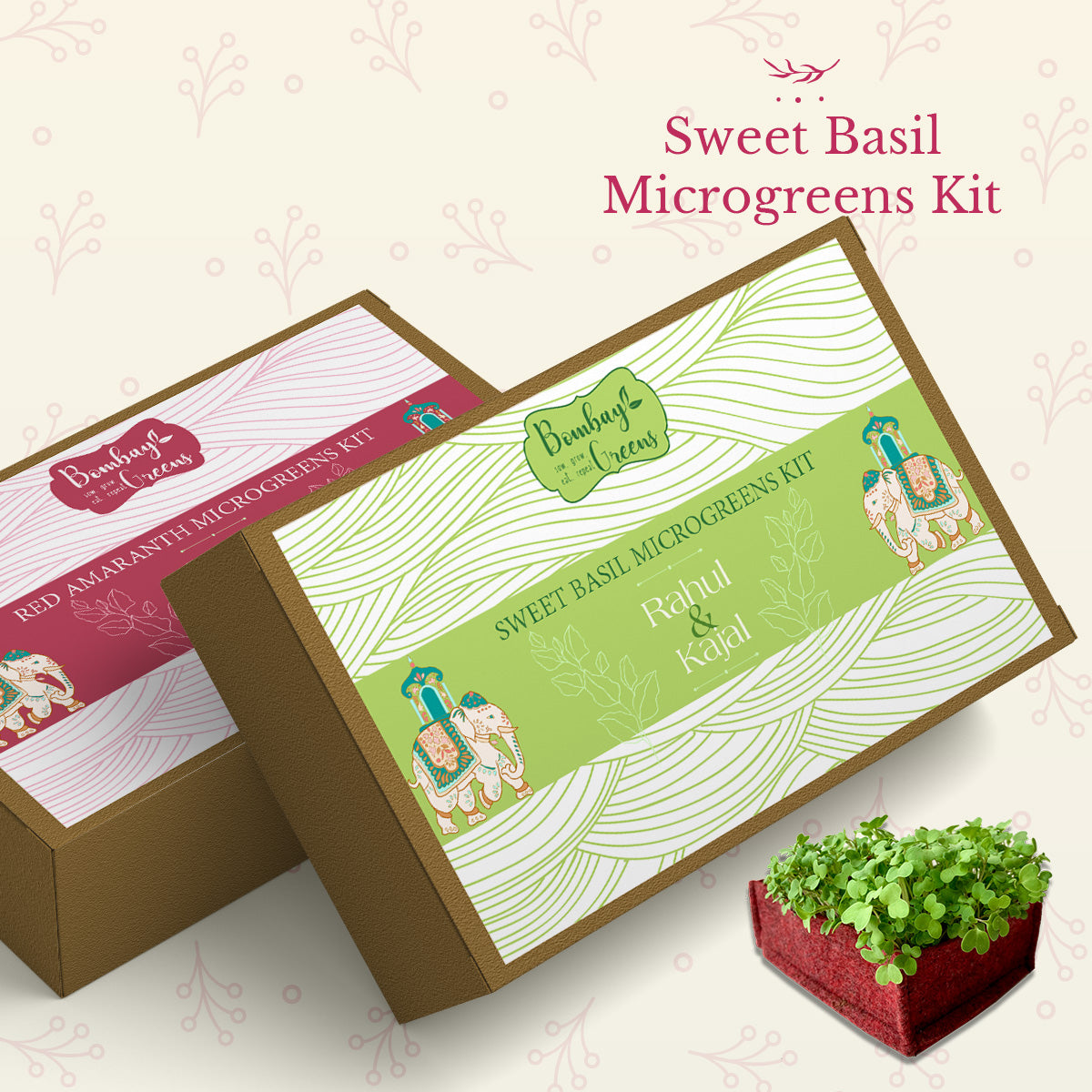 eco friendly gifts, plant grow kits