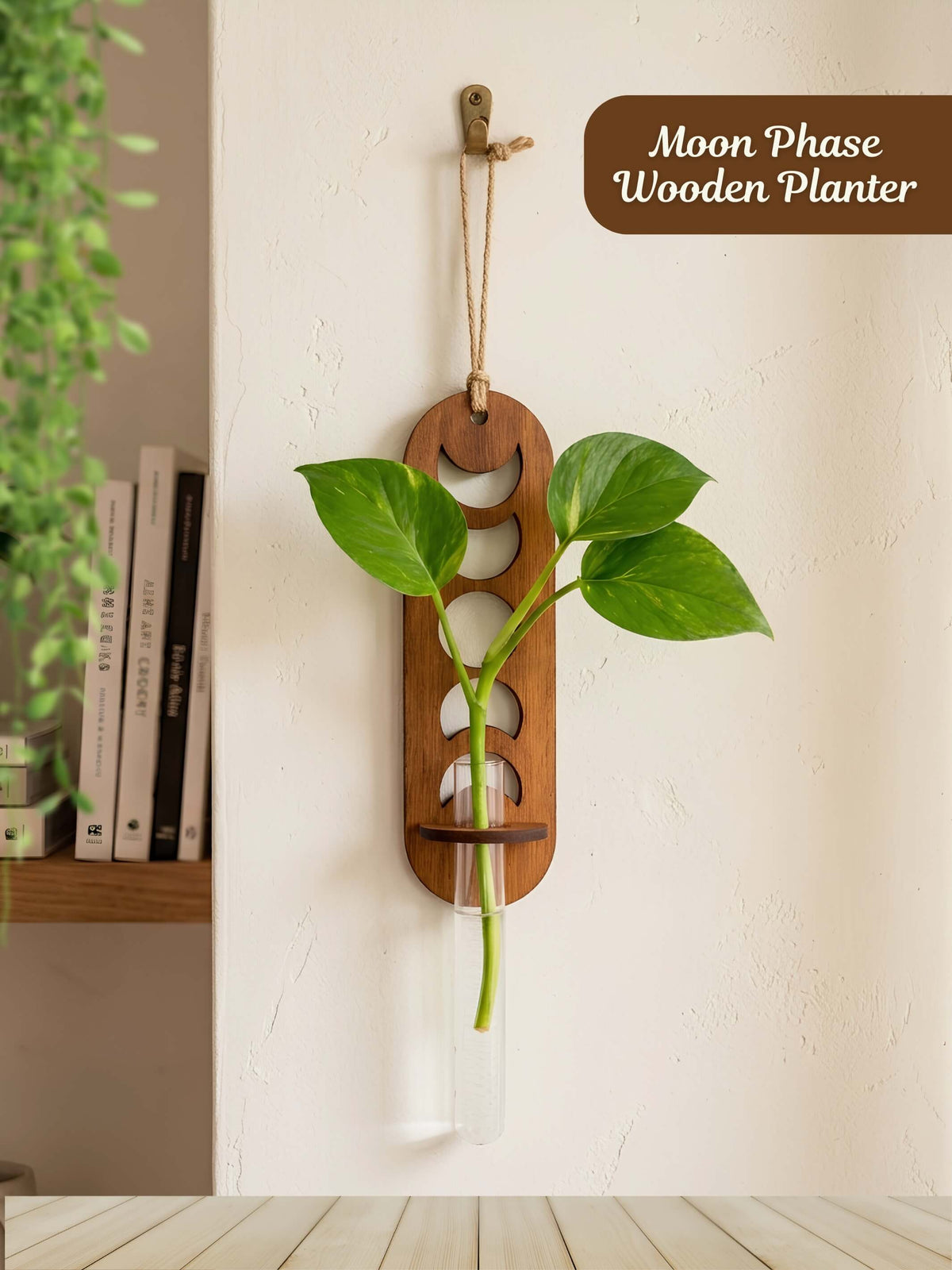 Moon Phase Wooden Wall Planter - 1 pc