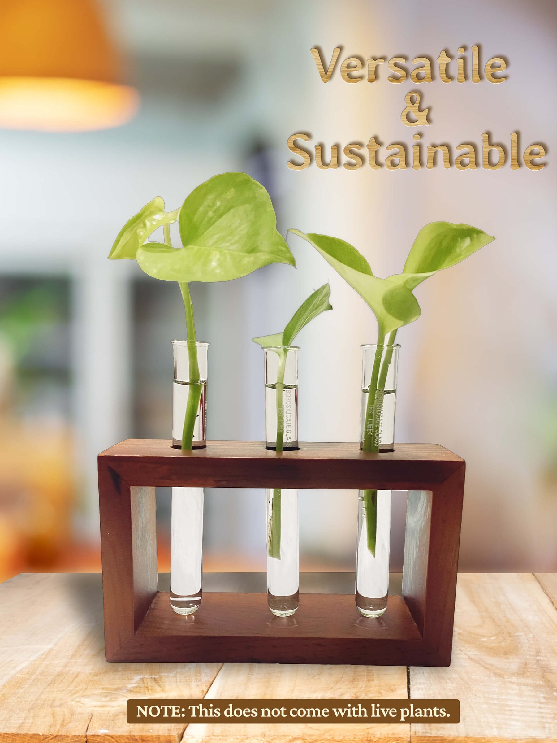 Test Tube Planter with Wooden Holder