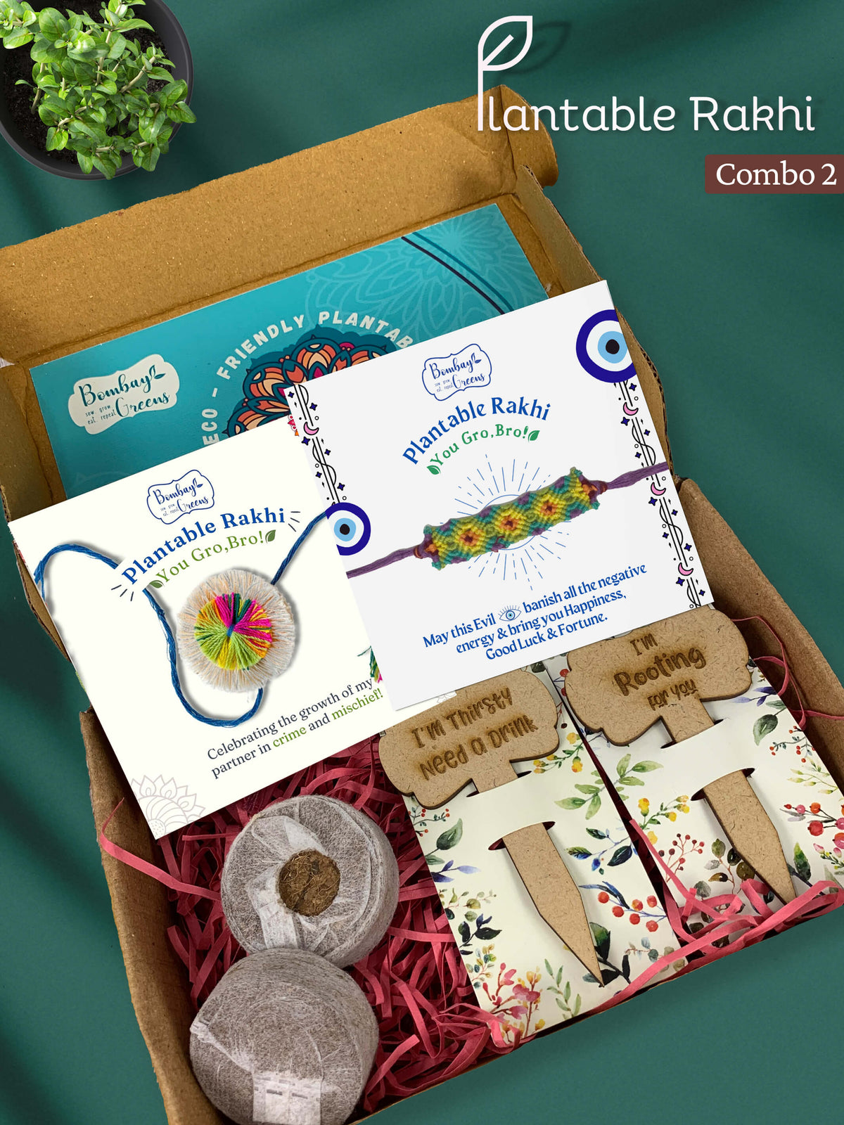 Seeds Rakhi Gift Kit- Duo Set (Rainbow Flower + Evil Eye)