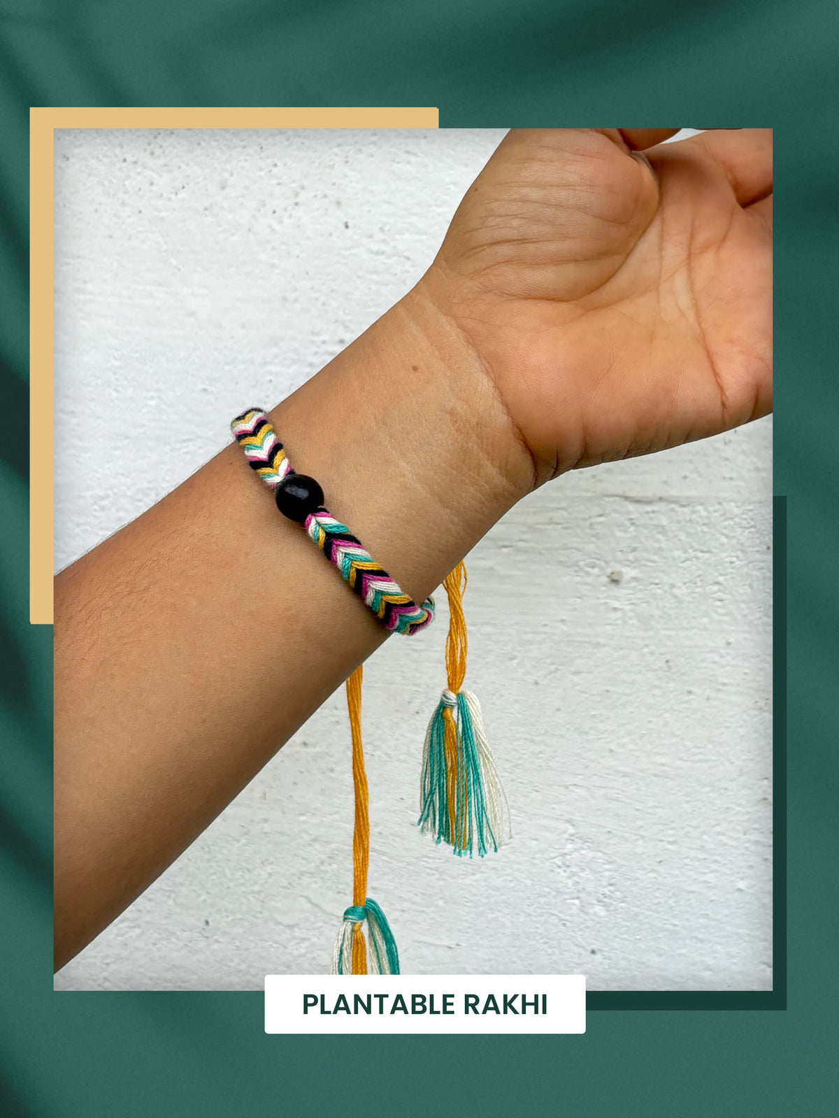 Seeds Rakhi Set- Braided Rakhi