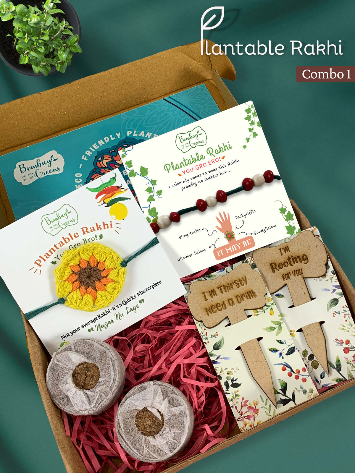 Seeds Rakhi Gift Kit- Duo Set (Yellow Blossom + Bead Band)