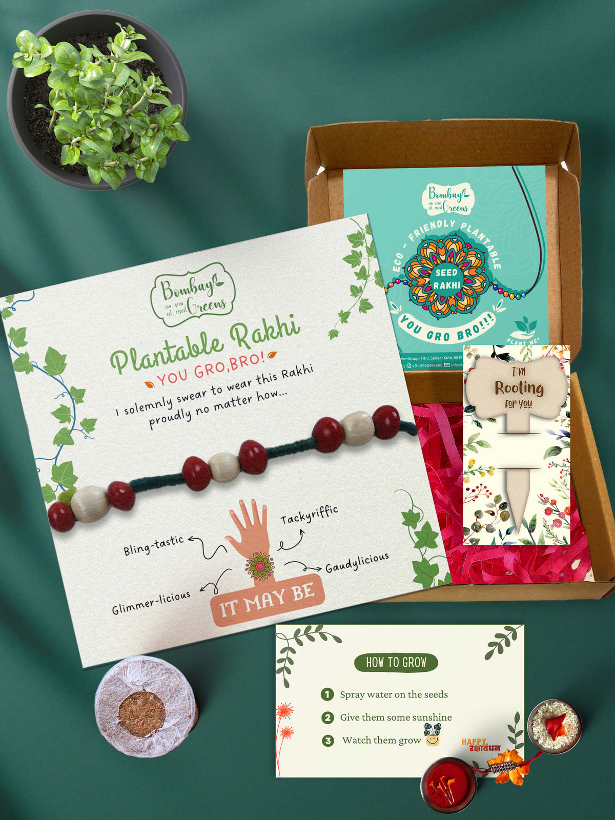 Seeds Rakhi Set- Bead Band