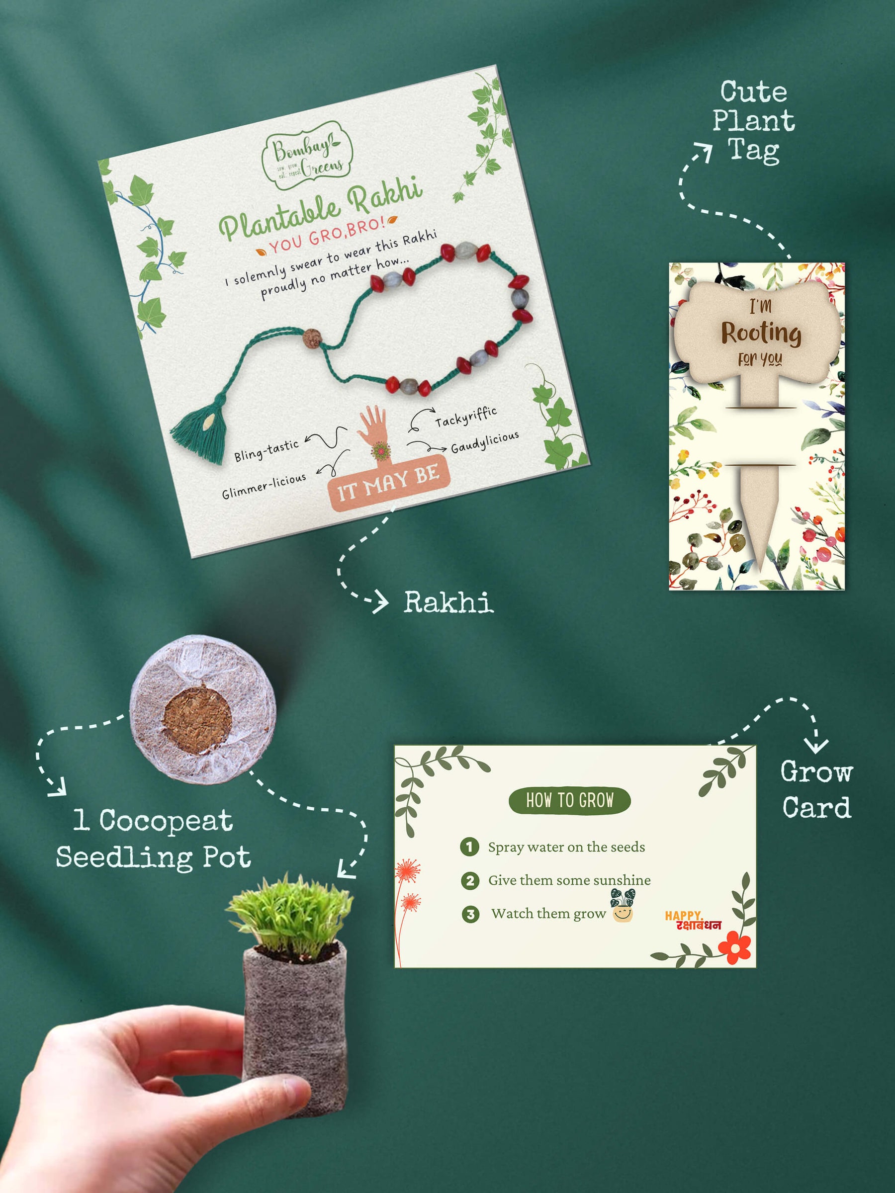 Seeds Rakhi Set- Bead Band