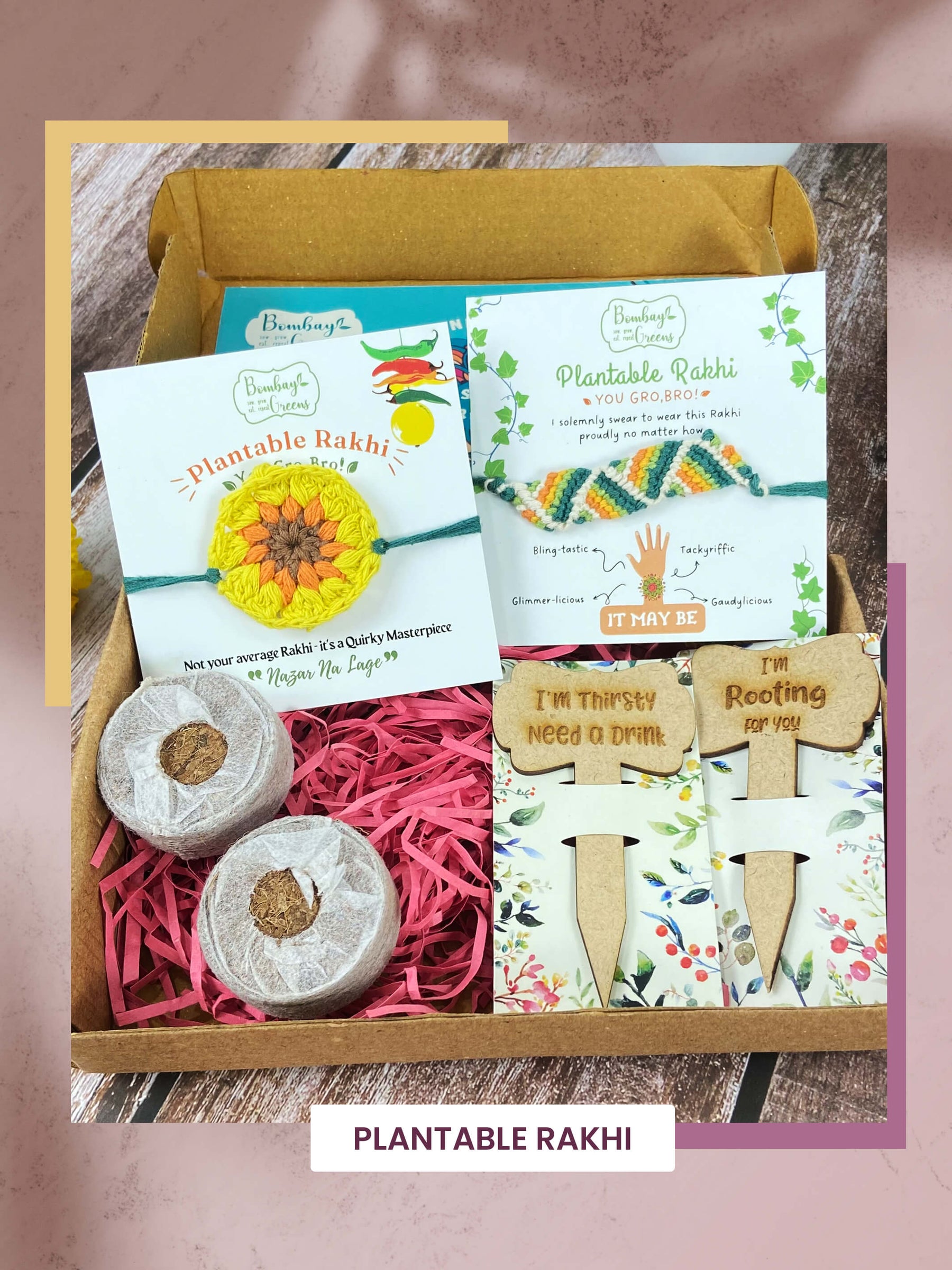 Seeds Rakhi Gift Kit- Duo Set (Yellow Blossom + Zig Zag)