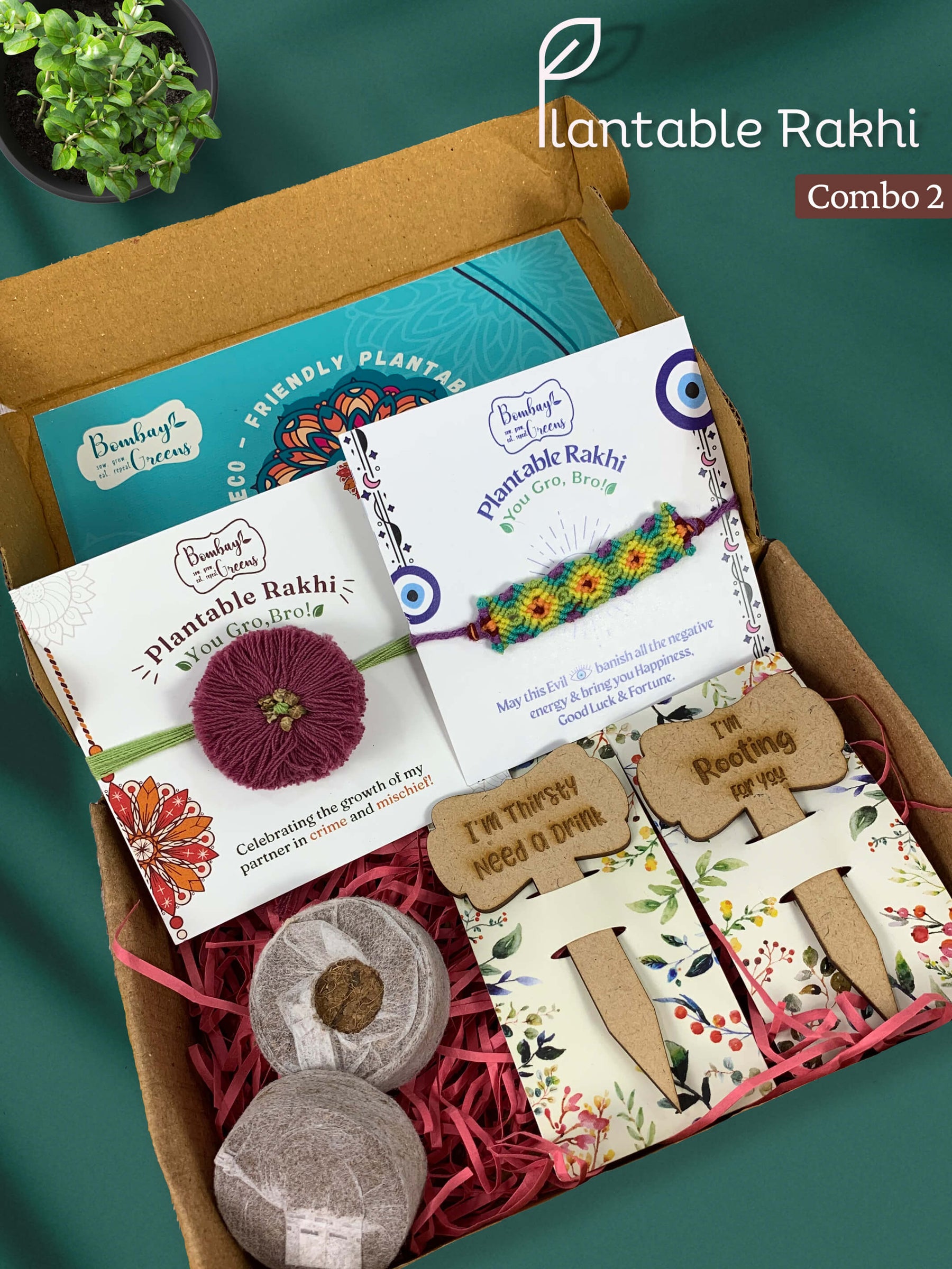 Seed Rakhi Gift Kit- Duo Set (Blooming Flower + Evil Eye)