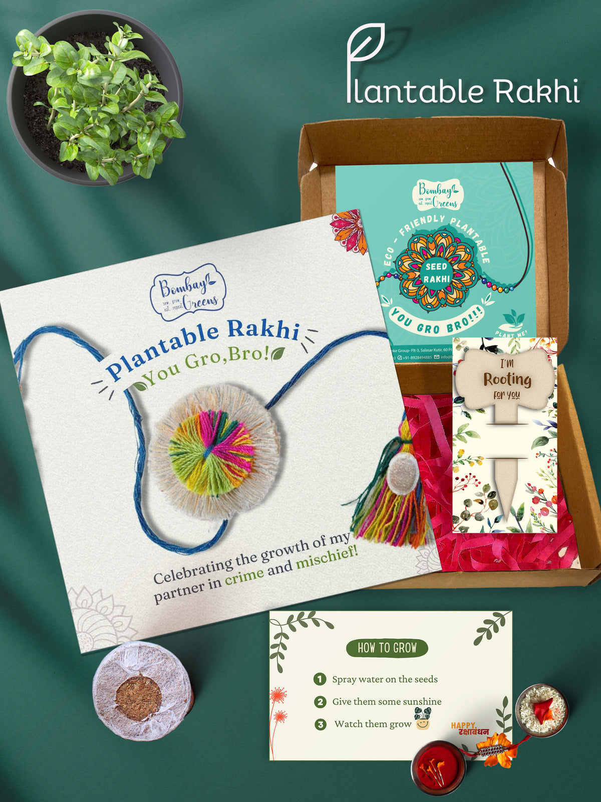 Plantable Rakhi Set- Rainbow Flower