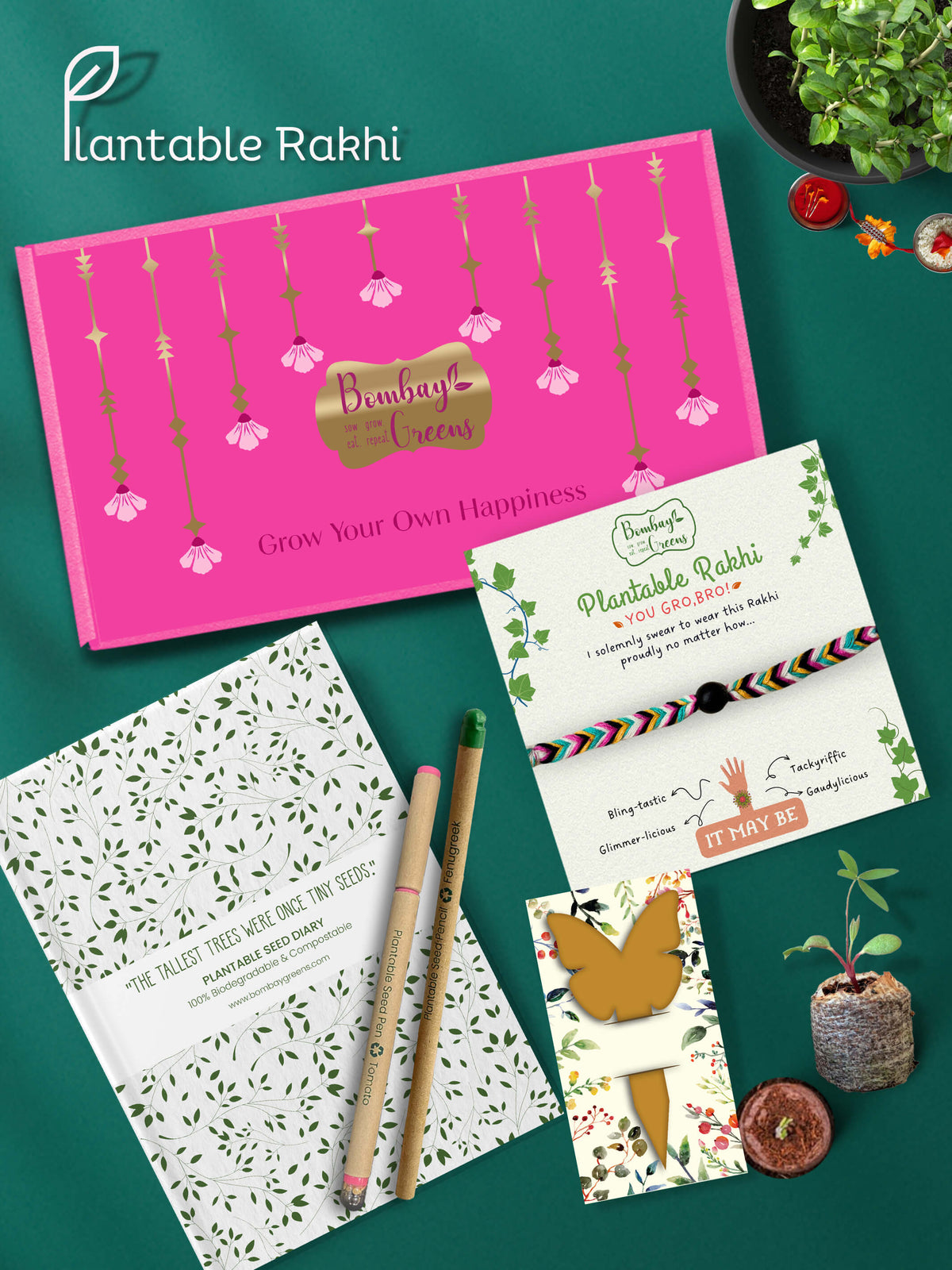 Seeds Rakhi Gift Hamper - (Braided + Seeds Diary)