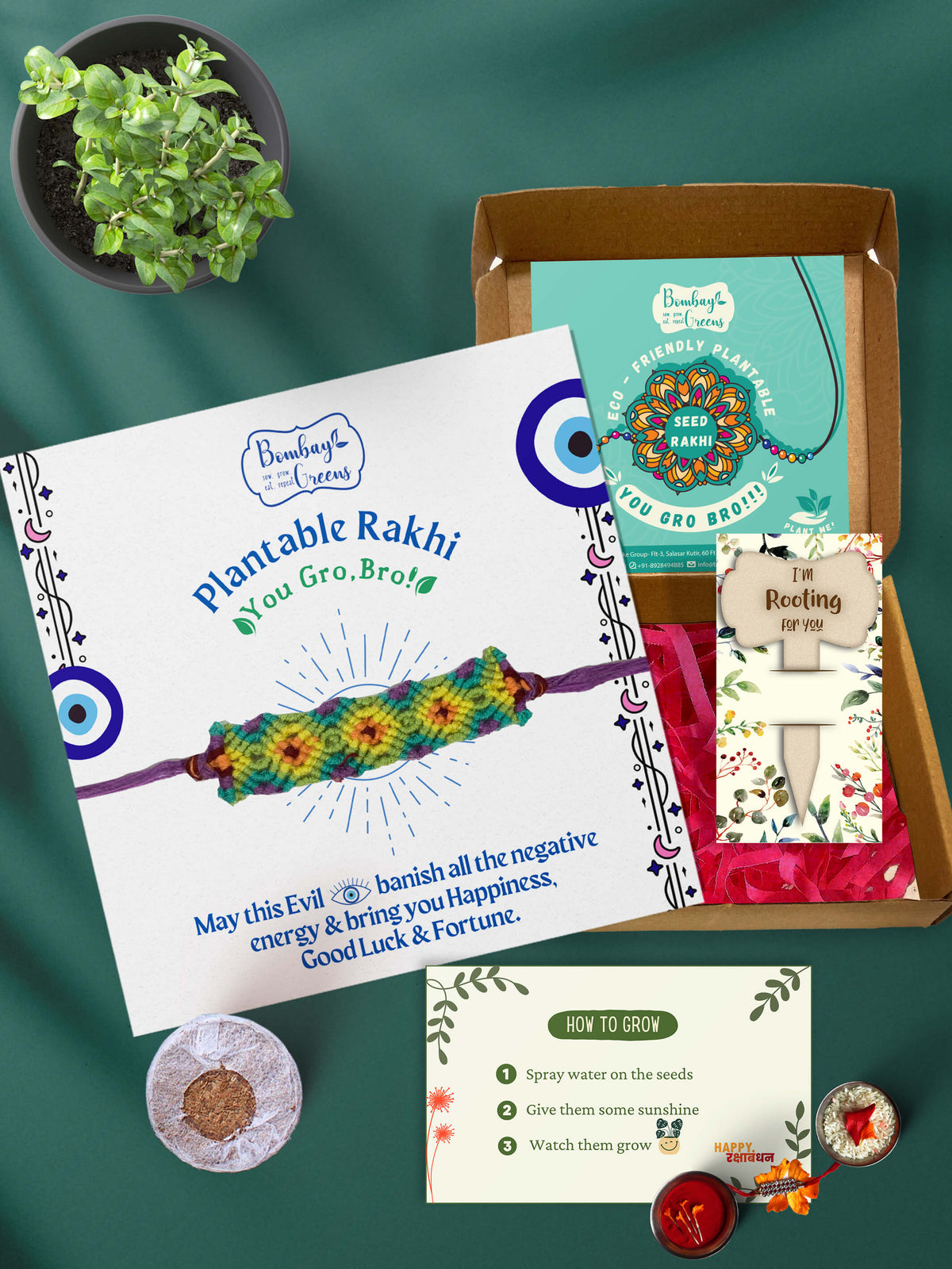 Seeds Rakhi Set - Evil Eye