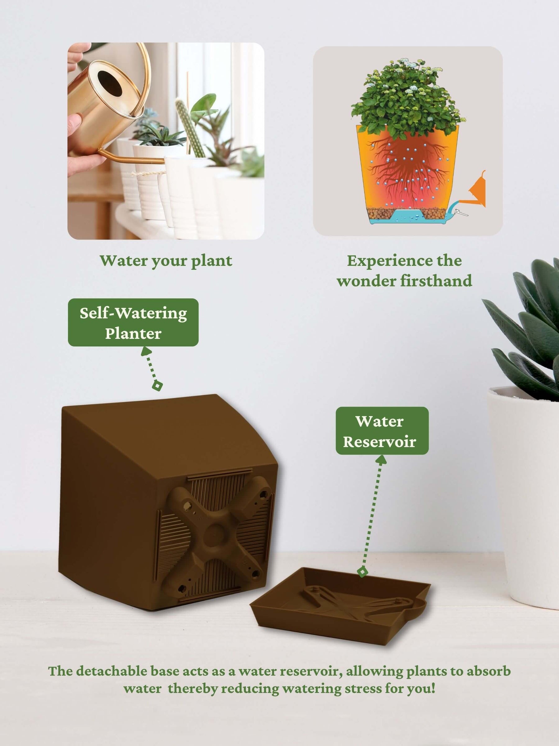Spider Plant with self-watering pot(brown)