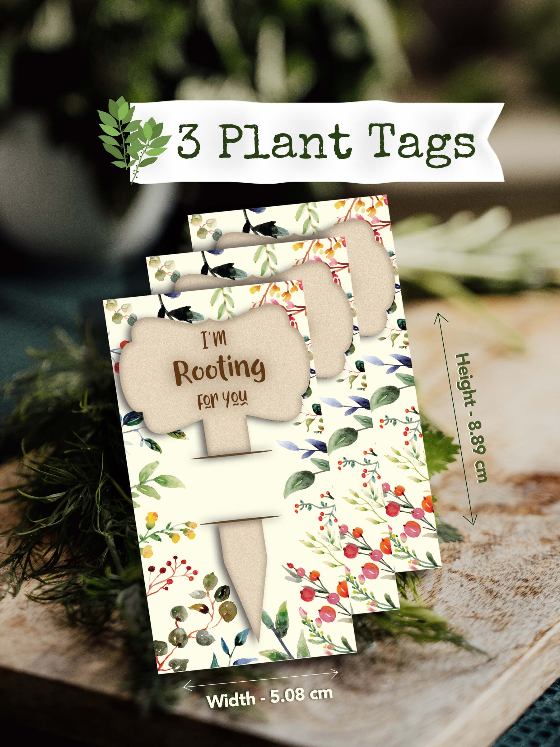 Seed Sowing Gift Kit for Plant Lovers - 3 Seeds & 3 Plant Tags