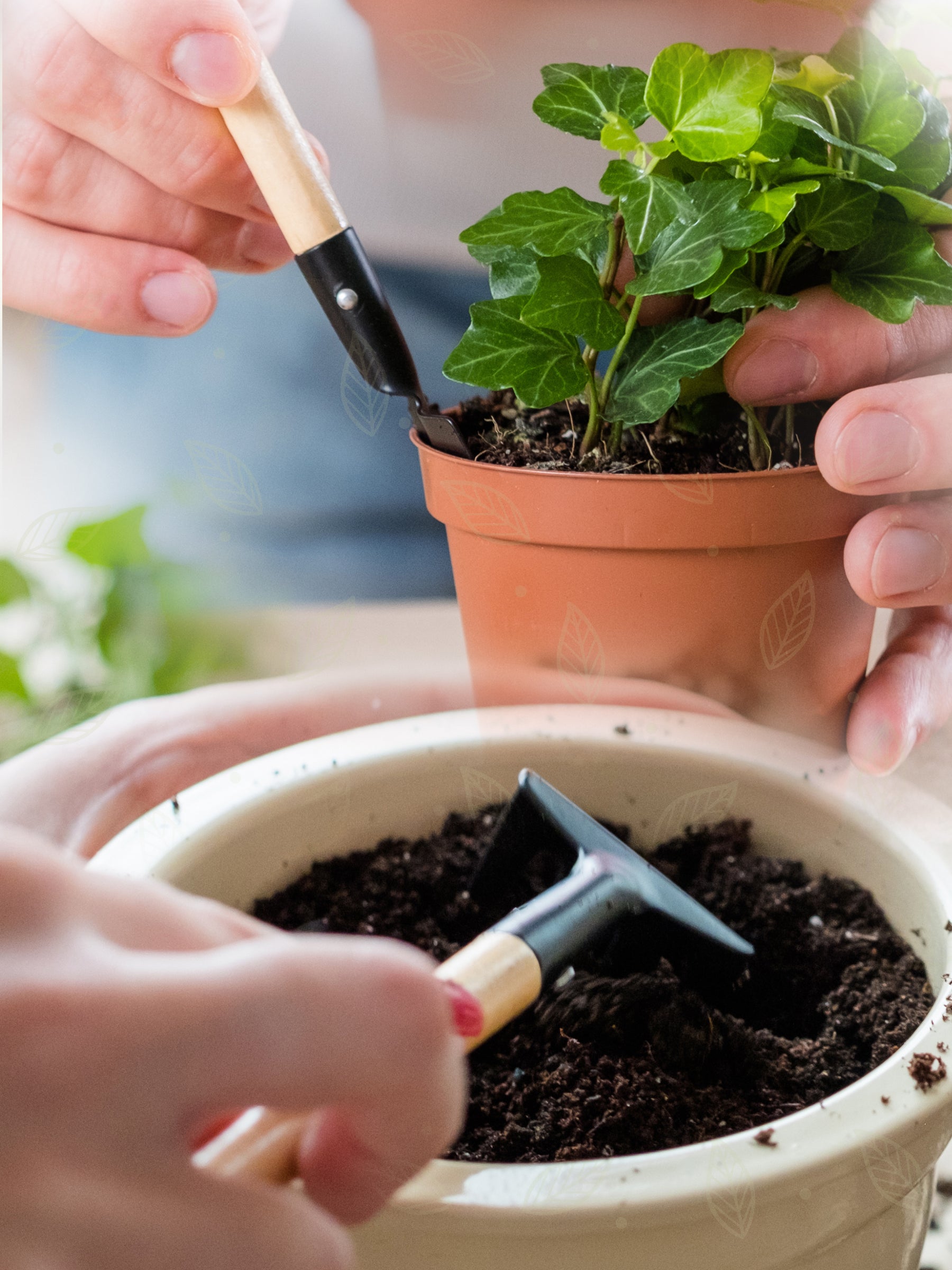 gardening kit