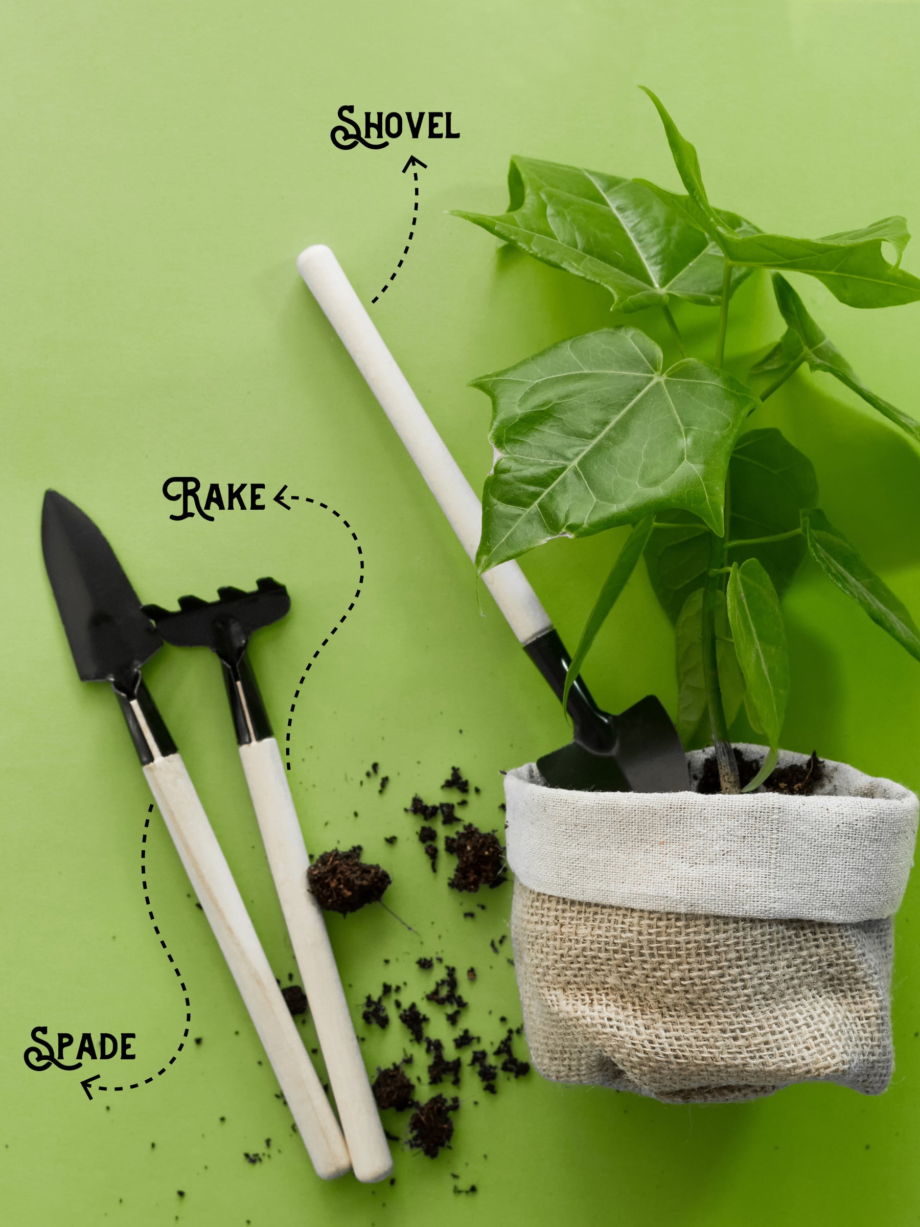 gardening gift ideas