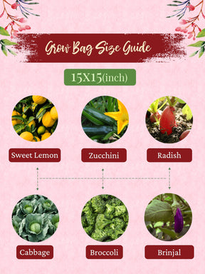15x15 Grow Bag | Eco-Friendly Geo Fabric - (Combo of 3)