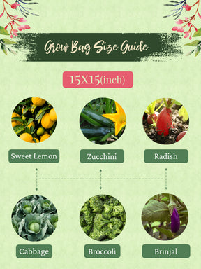 15x15 Grow Bag | Eco-Friendly Geo Fabric - (Combo of 3)