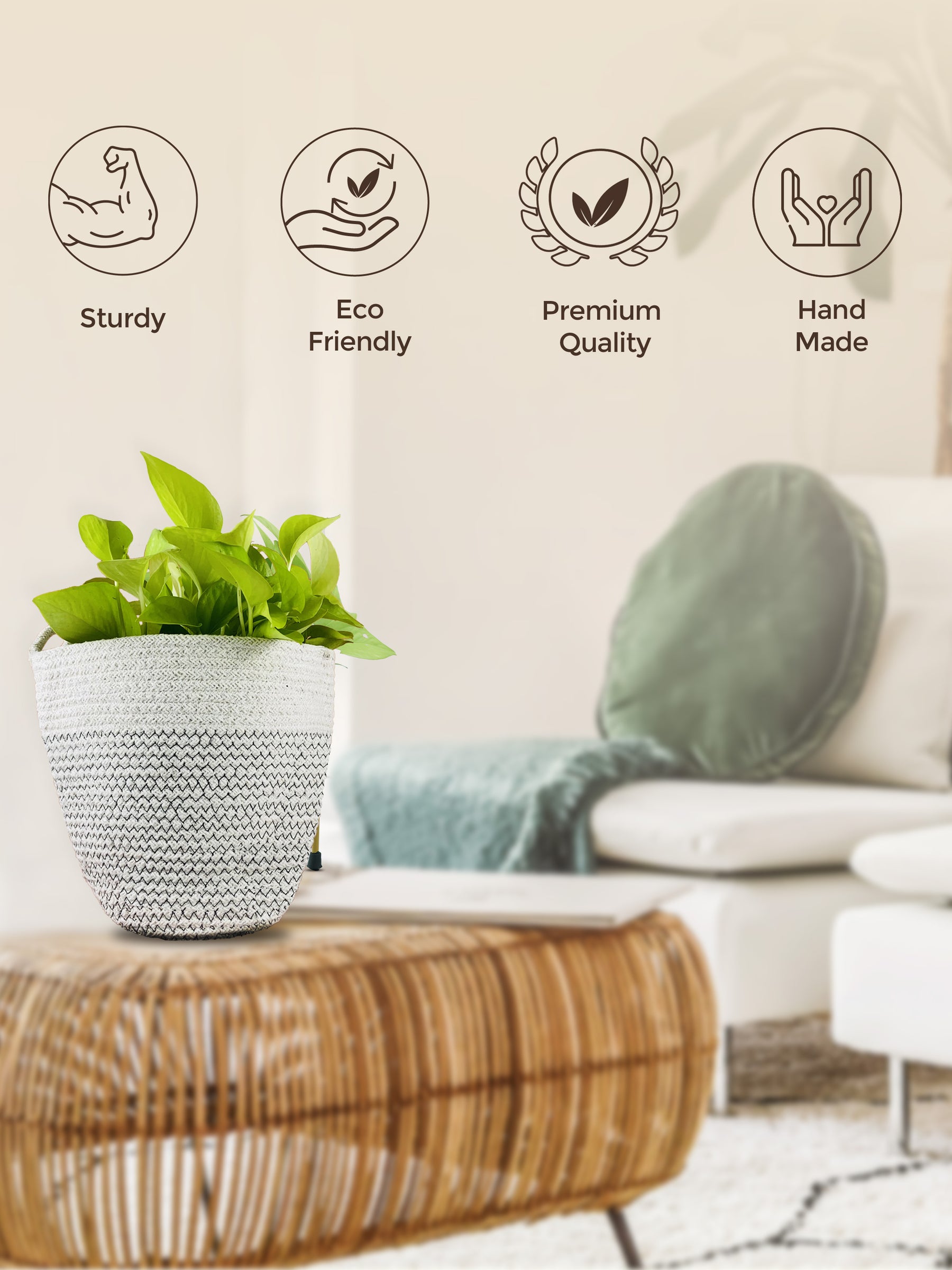 cotton planter, eco friendly grow kit,