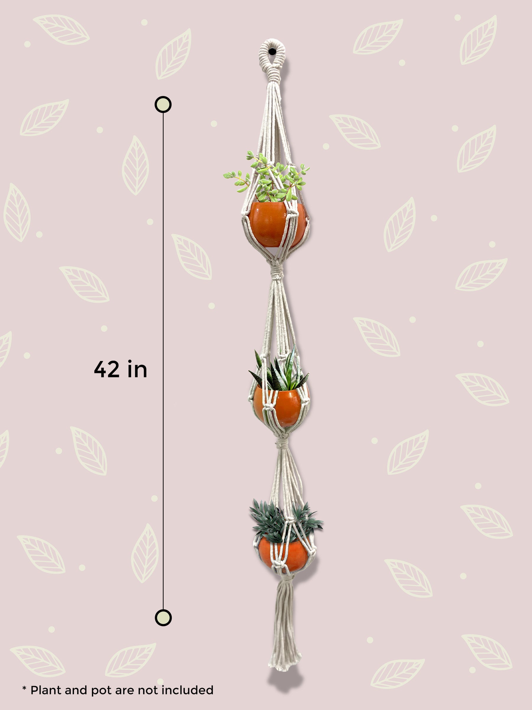 flower grow kits