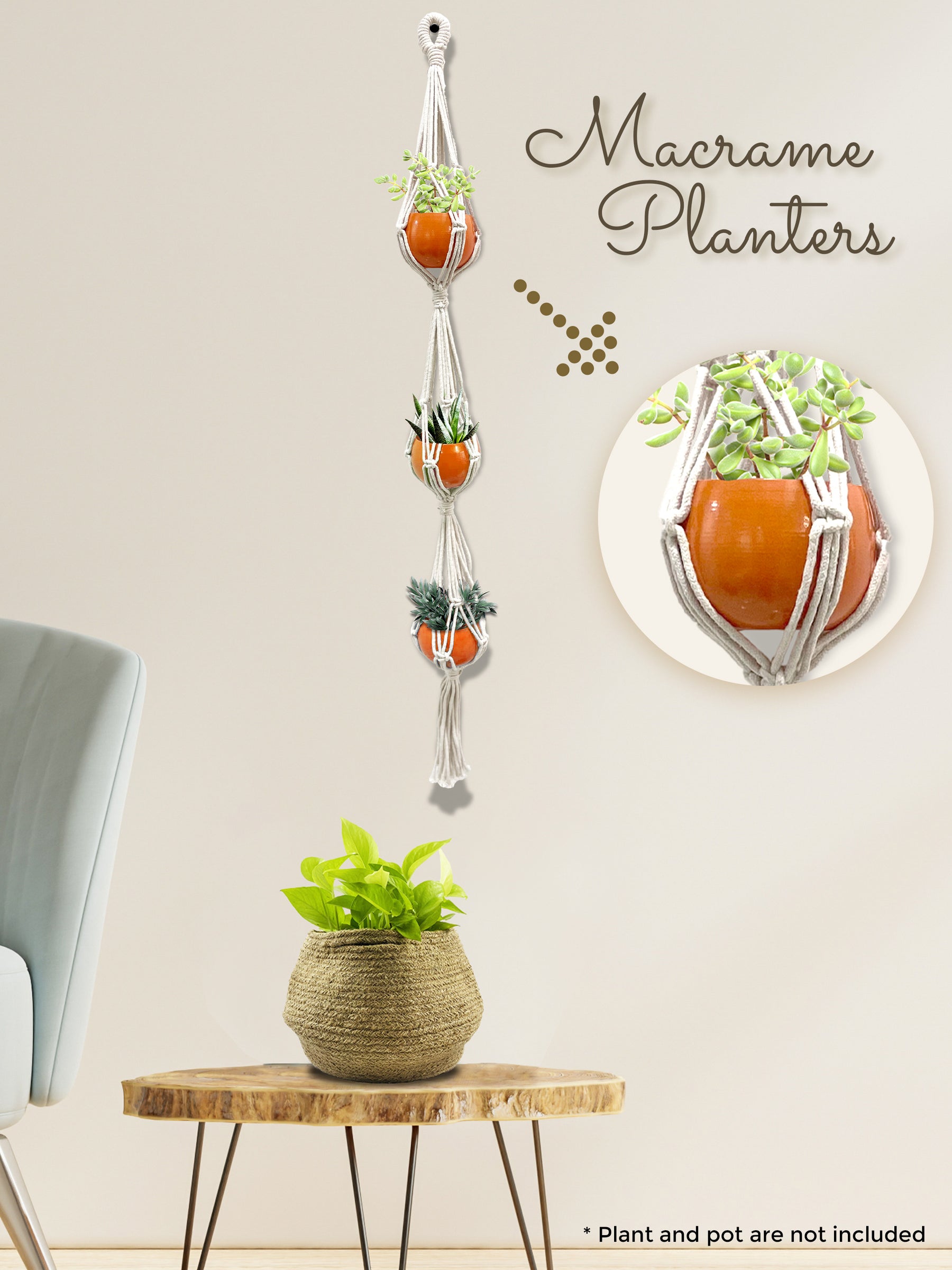 flower planting kit
