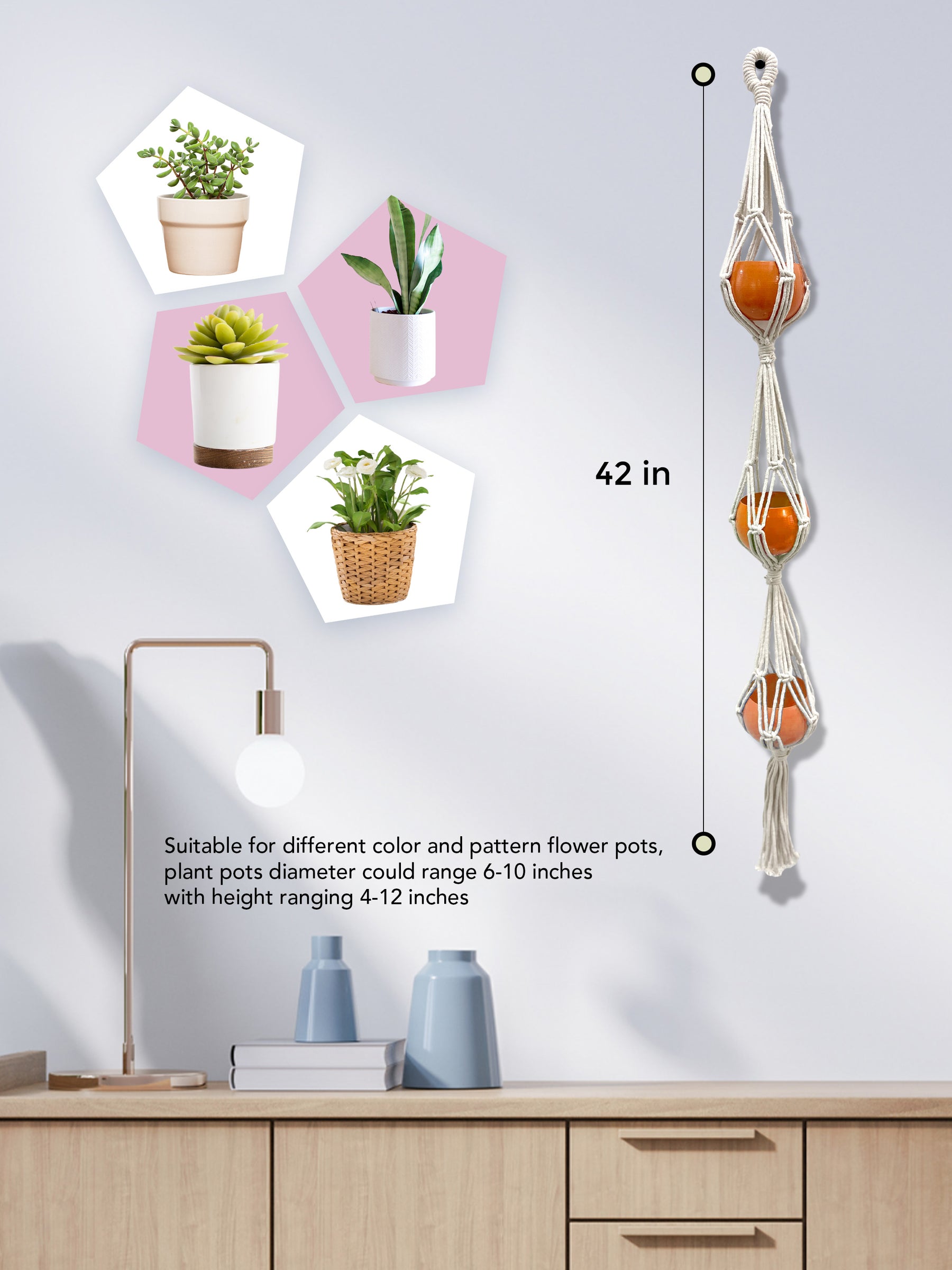 grow kit, flower planting kit
