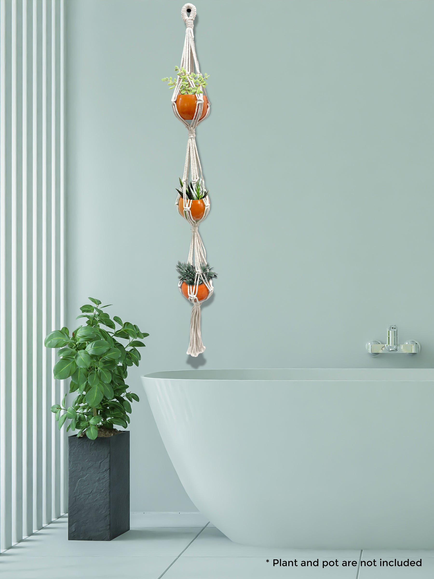 flower planting kit