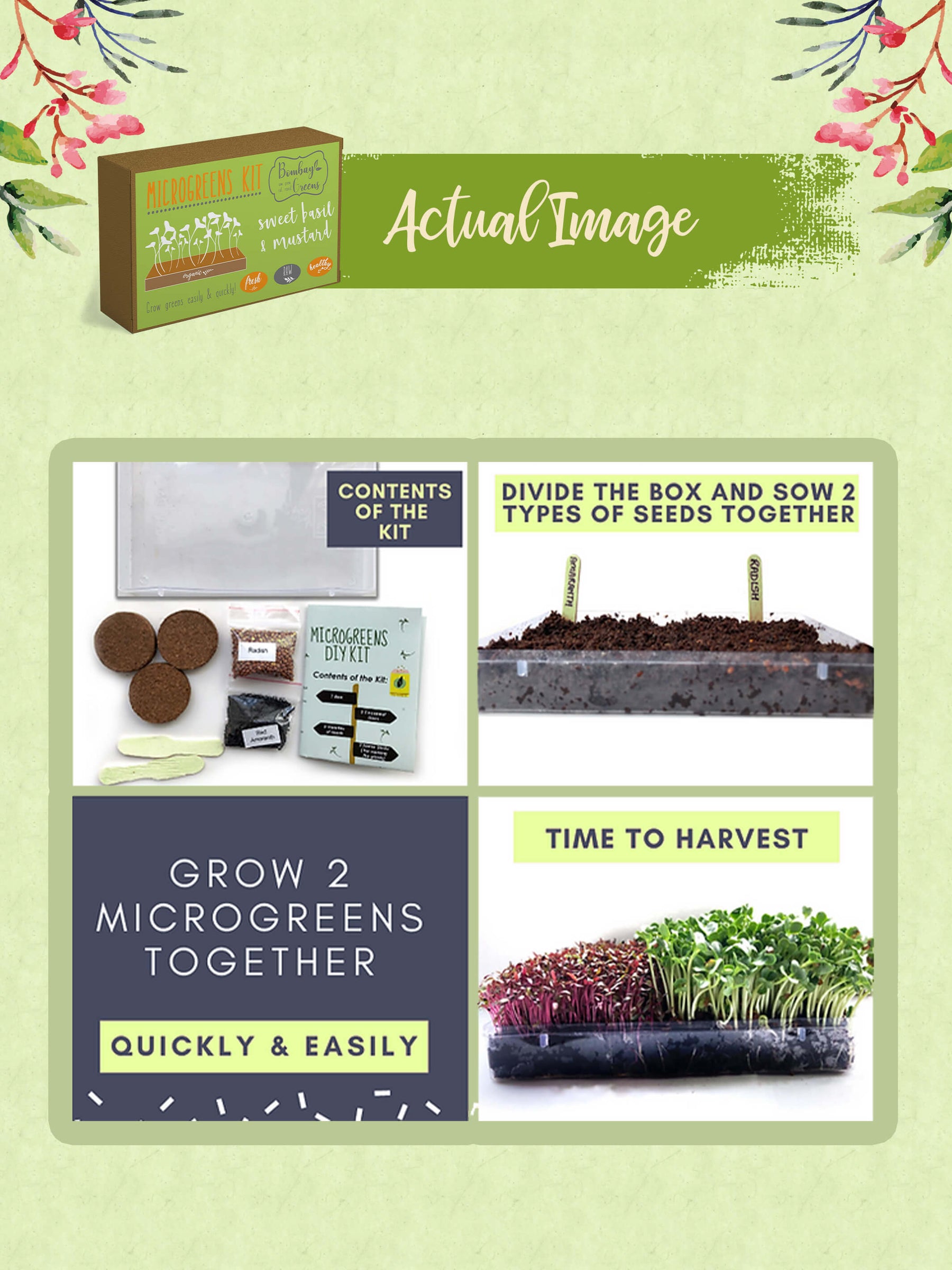 microgreen home kit