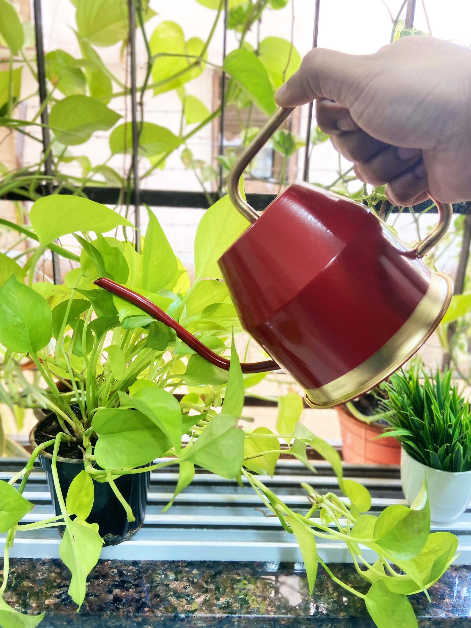 Metal Watering Can