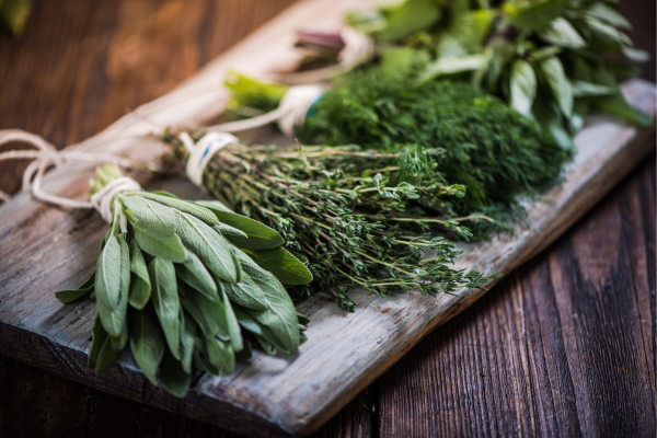 5 Indian Herbs Which Elevate Your Health & Indoor Kitchen Garden