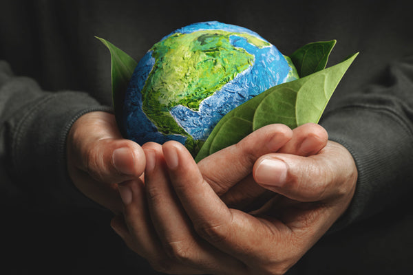 Know All About Environment Day 2024