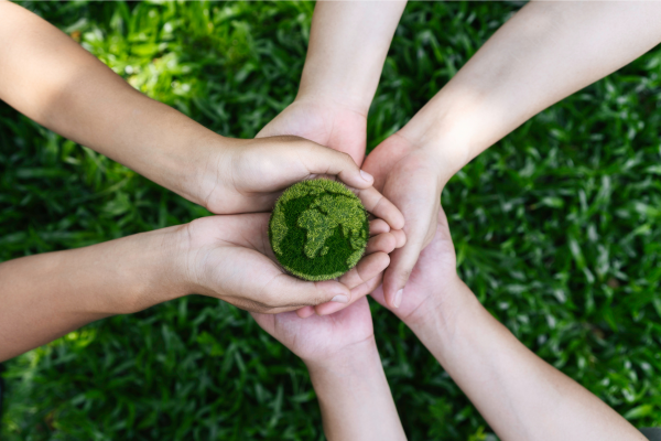 7 Interesting Environment Day Activities for Kids