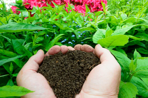 A complete guide to Vermicomposting