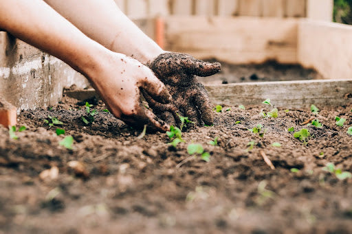 benefits-of-gardening