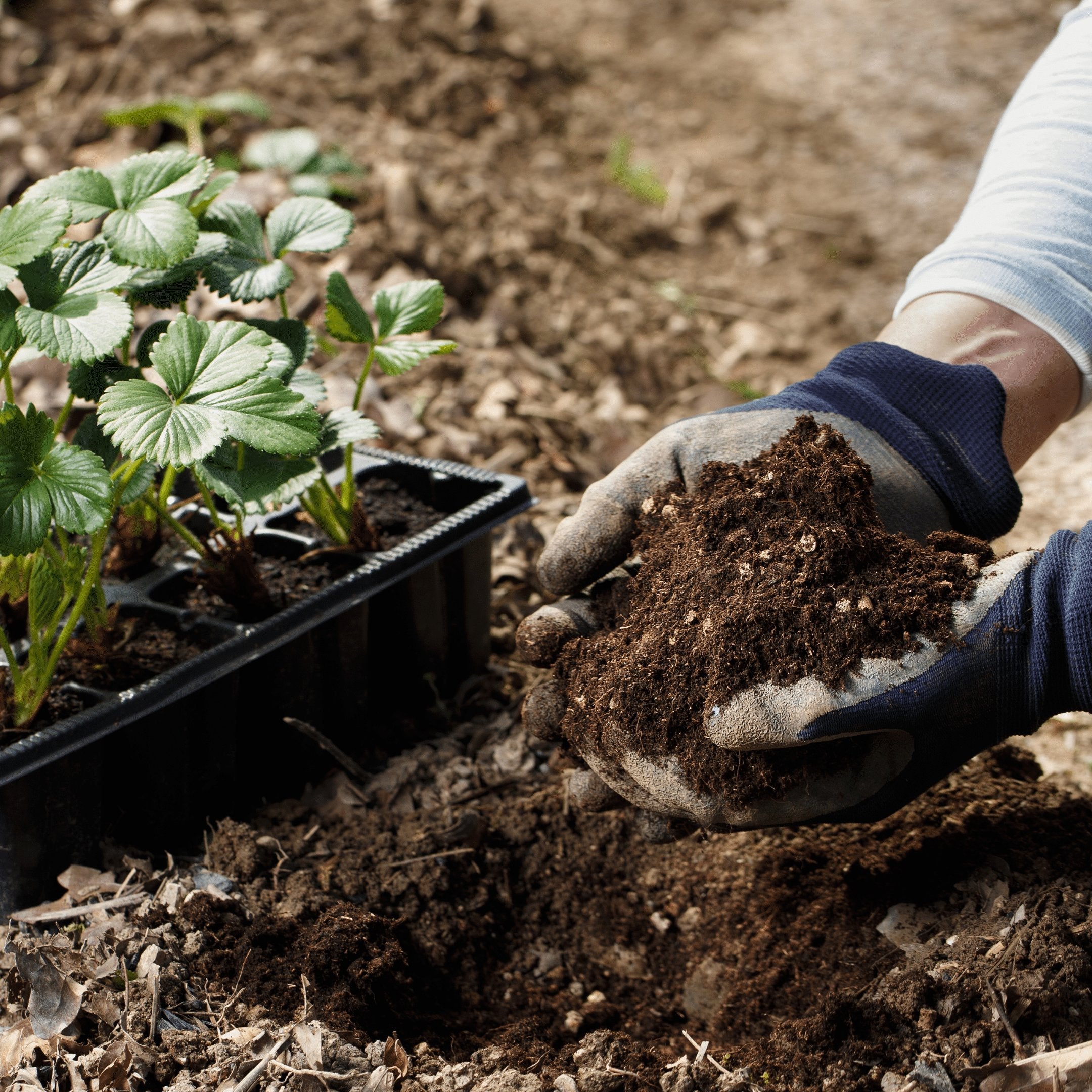 garden soil online, plant soil, organic plant nutrients