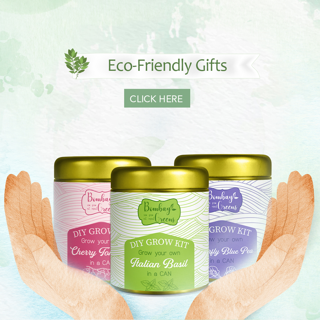 gifts for environmentalists, environmentally friendly gifts, 