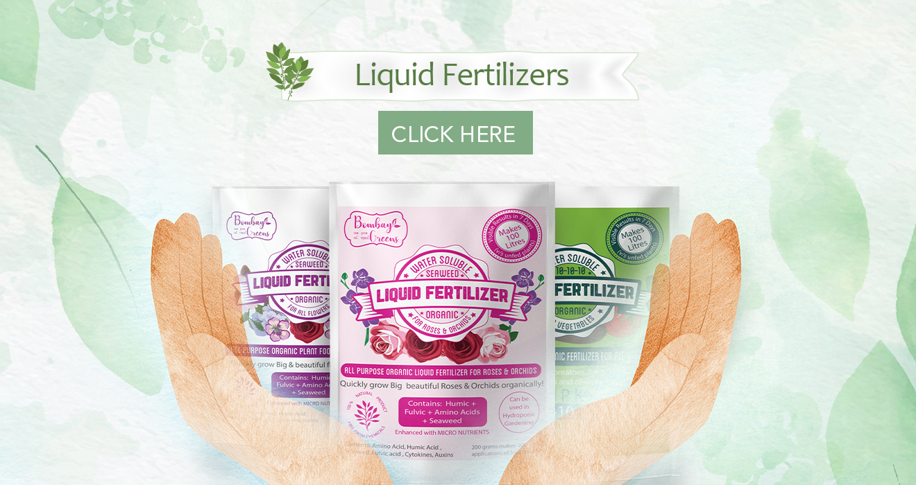 liquid fertilizer organic, liquid fertilizer for rose plant, organic liquid fertilizer india