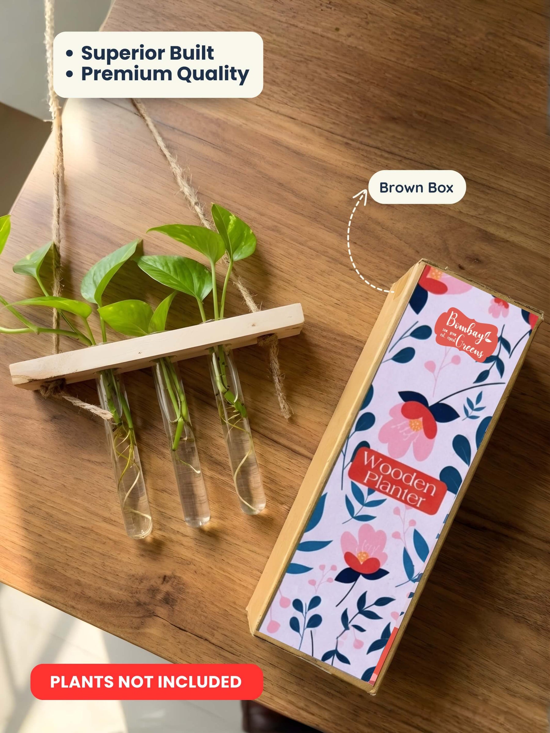 Wooden Hanging Planter for Home | Aesthetic Plant Décor