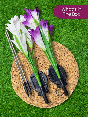 Solar LED Garden Lights | Pack of 2