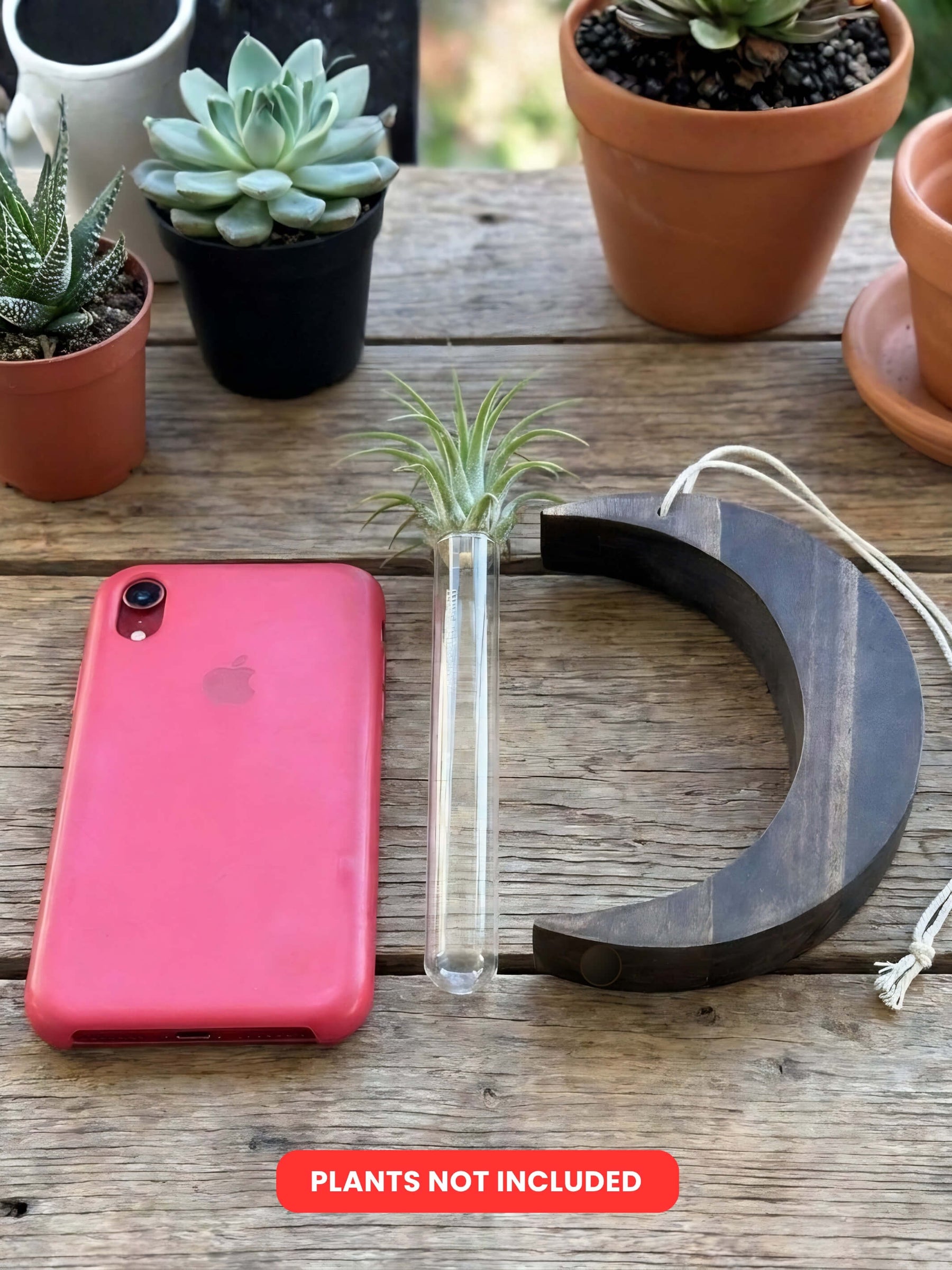 Moon-Shaped Wooden Test Tube Planter