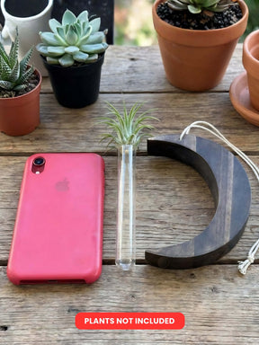 Moon-Shaped Wooden Test Tube Planter