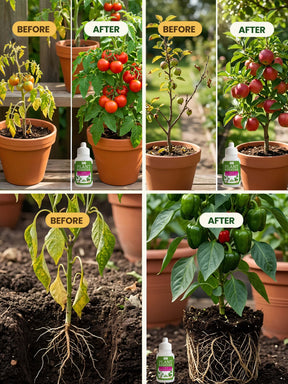 Organic Liquid Bio Fertilizer | Pack of 3