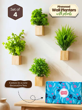 Mini Wall Wooden Planter with Plants - 4 pieces