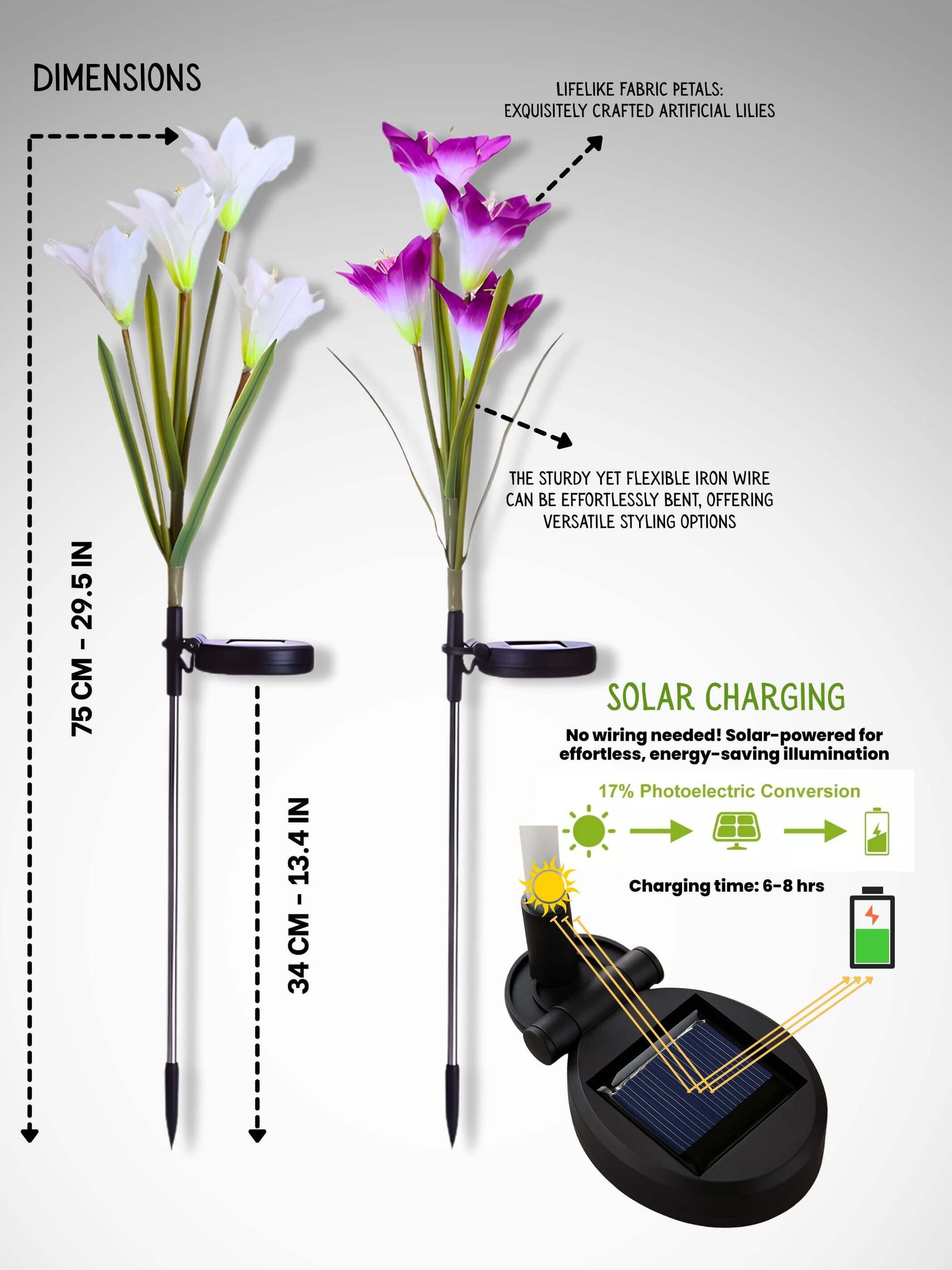 Solar LED Garden Lights | Pack of 2