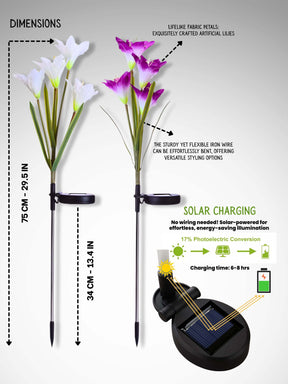 Solar LED Garden Lights | Pack of 2