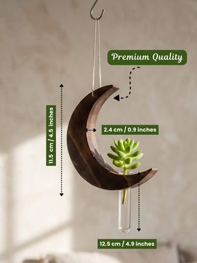 Moon-Shaped Wooden Test Tube Planter - Set of 2