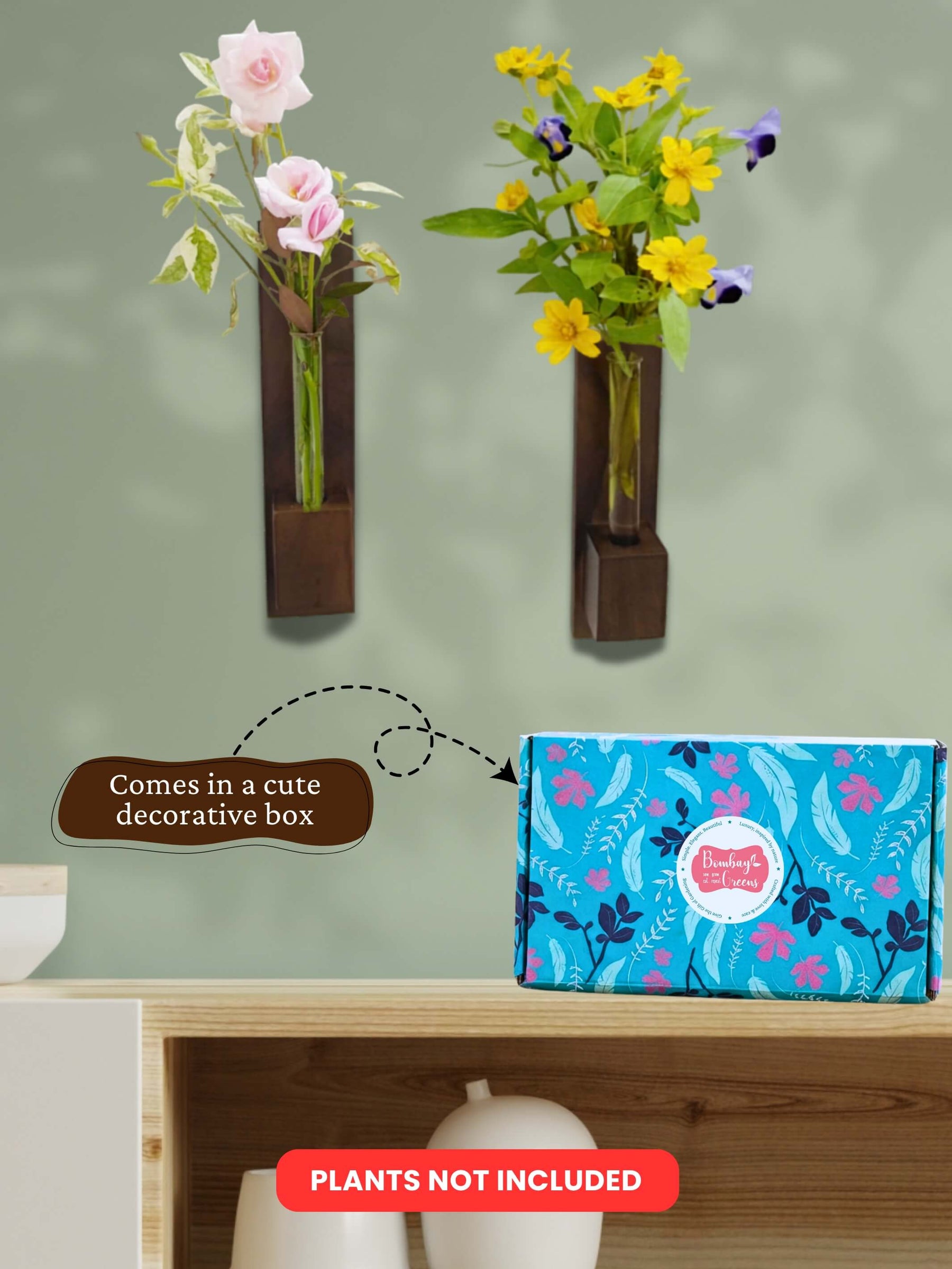 Test Tube Wall Planter with Wooden Holder (set of 2)