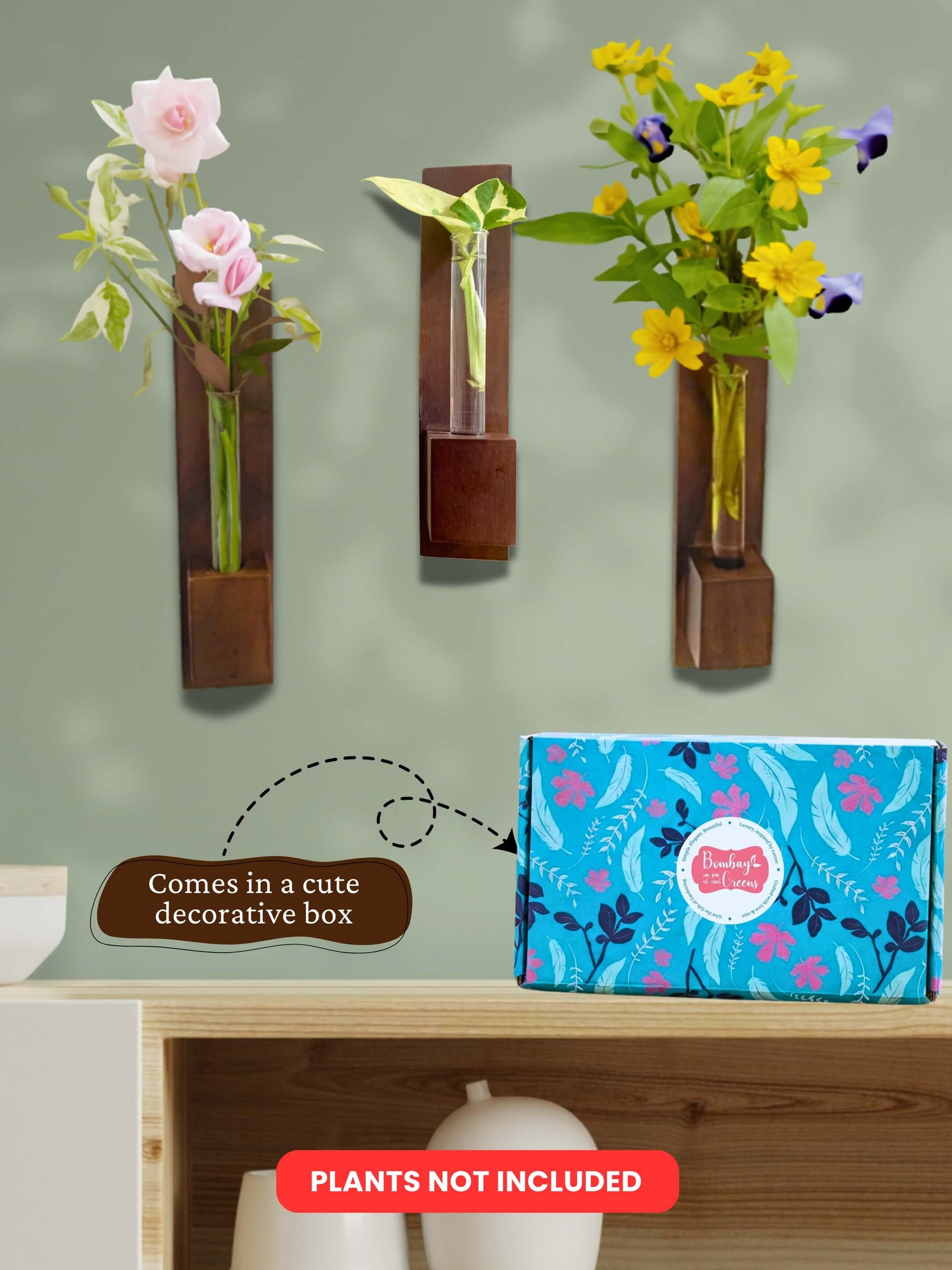 Test Tube Wall Planter with Wooden Holder (set of 3)